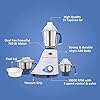 Preethi Blue Leaf Gold Mixer Grinder 750 Watt with 3 Jars (White)