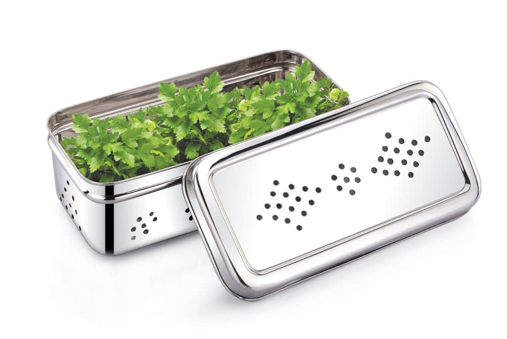 Lime Stainless Steel Fridge Container for herb, vegetable etc/Stainless Steel Herb Storage Box/FreshHerb Keeper food grade and space saving shape