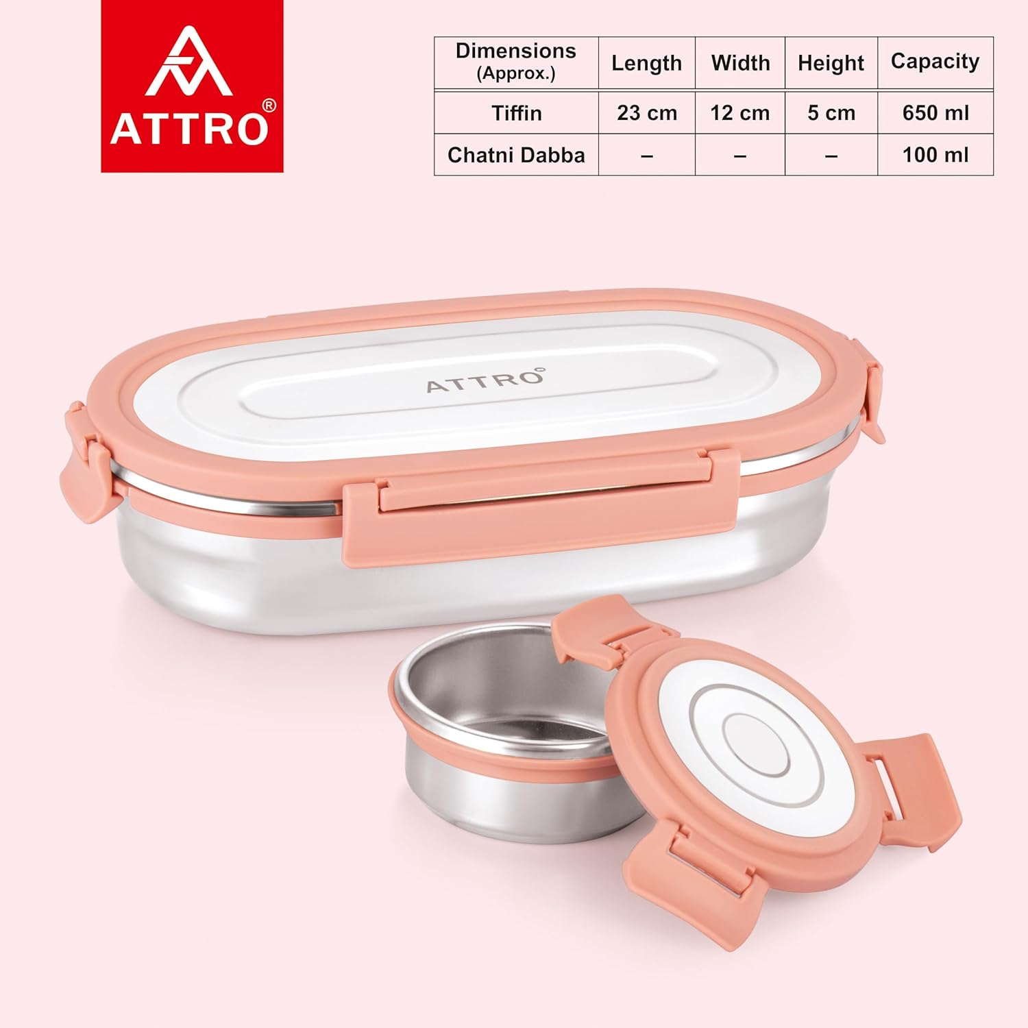 Oval Stainless Steel Lunch Box with 1 Small Box Compact Design Airtight Leak Proof Lunch Box for Office, School, Picnic-650Ml+100Ml